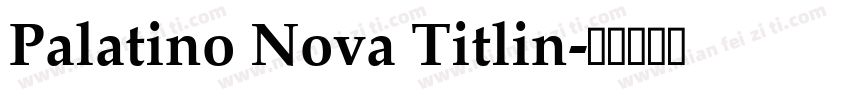 Palatino Nova Titlin字体转换